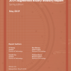 2019 Augmented Reality Industry Report